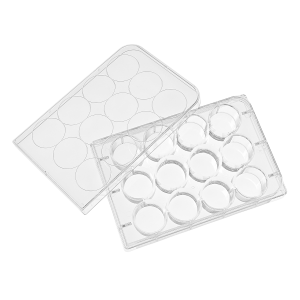 12 Sumur Sél Budaya Lempeng