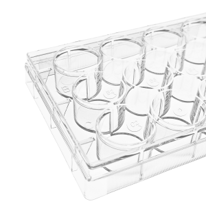 12 Sumur Sél Budaya Lempeng