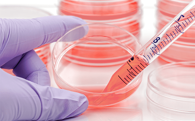 Understanding TC Treatment in Cell Culture Consumables: A Key to Optimal Cell Growth​