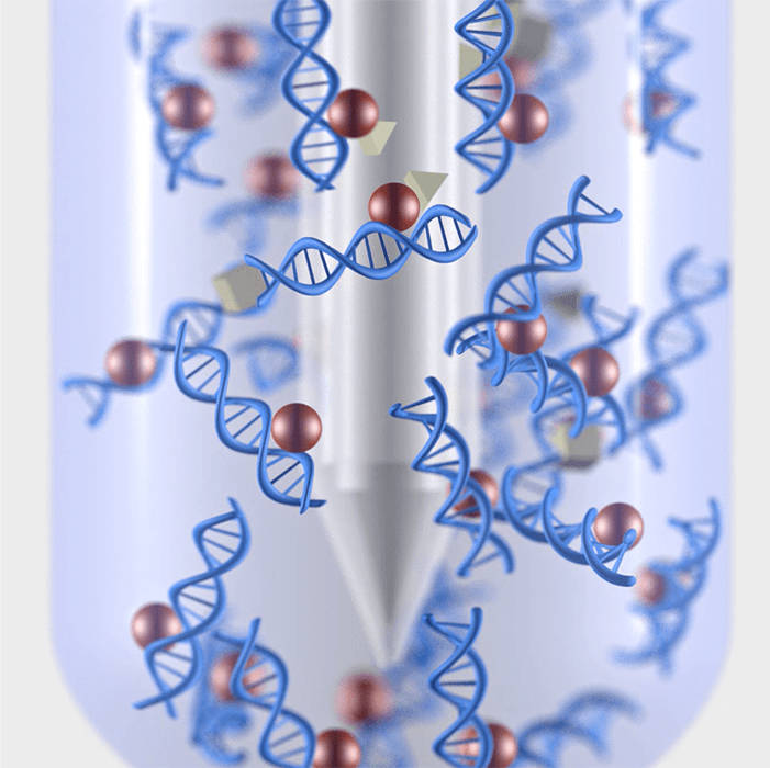 న్యూక్లియిక్ ఆమ్ల సంగ్రహణ మరియు అయస్కాంత పూస పద్ధతి
