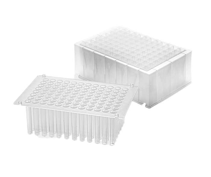 Which plates should I choose for The Extraction of Nucleic Acid？